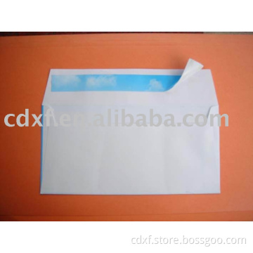 Self-Seal Envelope